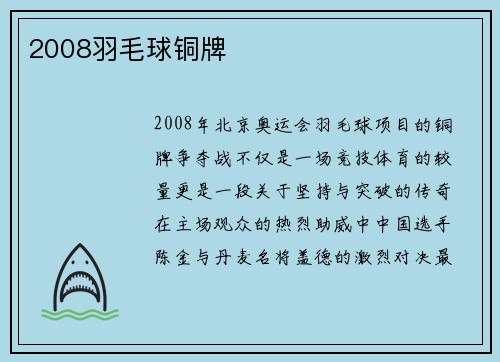 2008羽毛球铜牌