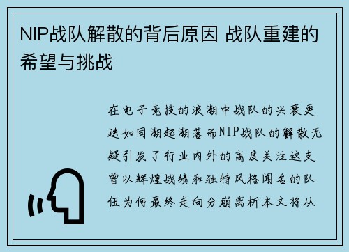 NIP战队解散的背后原因 战队重建的希望与挑战