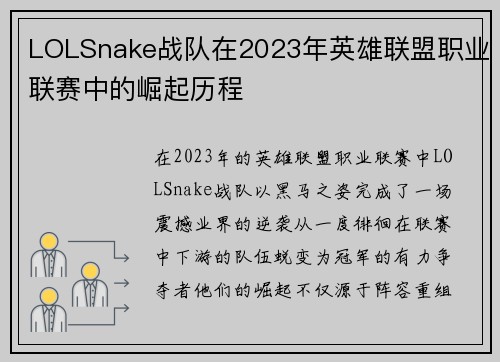 LOLSnake战队在2023年英雄联盟职业联赛中的崛起历程