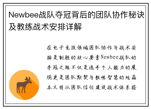 Newbee战队夺冠背后的团队协作秘诀及教练战术安排详解
